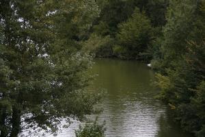 FOTO Drago Juteršek (1)